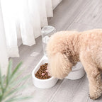  Haustier Futternapf Wasser Fressnapf 2 In 1 Für Kleine Hund Katze