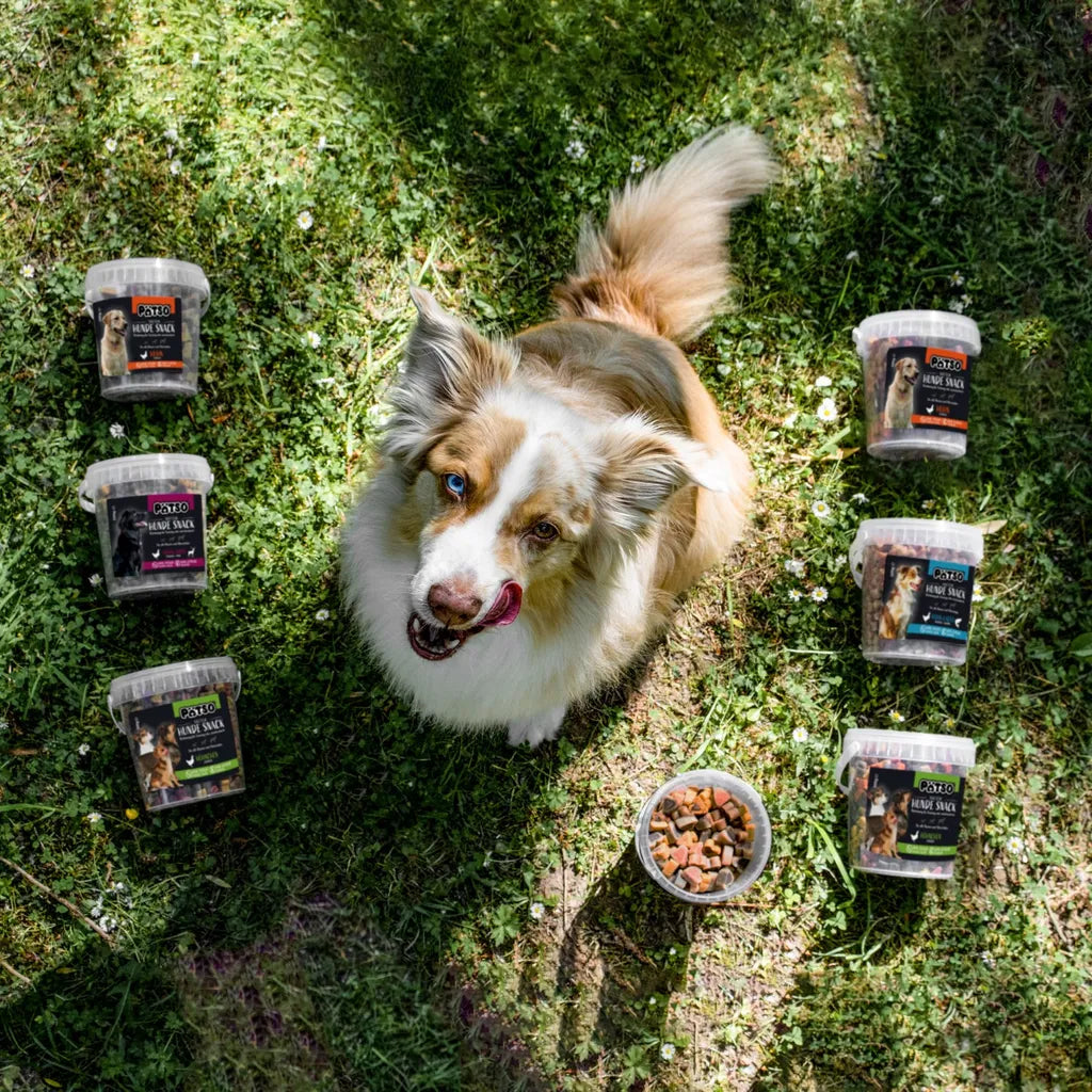  PÄTSO Hunde Snack Trainingssnack, 500g - Huhn - Bone Mix