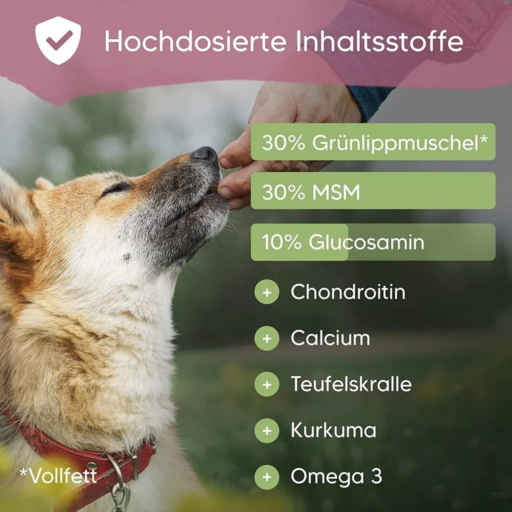  Pawlie's Gelenktabletten Für Hunde (NEU) | Grünlippmuschel Hund, Glucosamin, MSM & Teufelskralle | Hunde Leckerlis Mit Omega 3, 100 Stück, Hohe Akzeptanz, In DE Hergestelltes Ergänzungsfutter