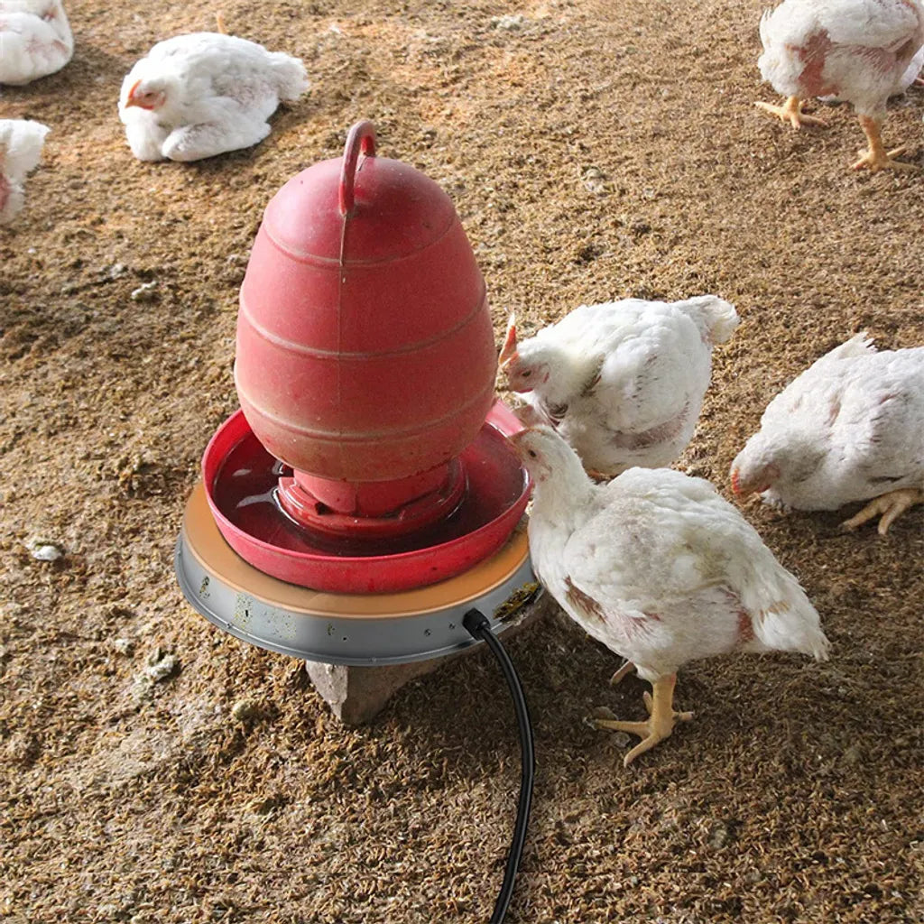  Geflügel Warmwasserbereiter Basis, Elektrische Futterautomat Beheizte Basis, Verhindert Das Einfrieren Von Geflügelbrunnen, 30 Cm