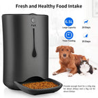  P&K 6,5L Automatischer Futterautomat Für Katzen Und Hunde Mit LCD, 8s Soundaufnahmefunktion, 1-4 Mahlzeiten Pro Tag, Schwarz