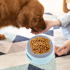  Wassernapf Für Hunde Unterwegs 750ml, Qianyou Auslaufsicher Spritzschutz Fressnapf Hundenäpfe Katzenapf Haustier Rutschfest Auto Reise Trinknapf Plastik Abnehmbar Tragbar Wasserschüssel