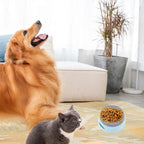  Wassernapf Für Hunde Unterwegs 750ml, Qianyou Auslaufsicher Spritzschutz Fressnapf Hundenäpfe Katzenapf Haustier Rutschfest Auto Reise Trinknapf Plastik Abnehmbar Tragbar Wasserschüssel