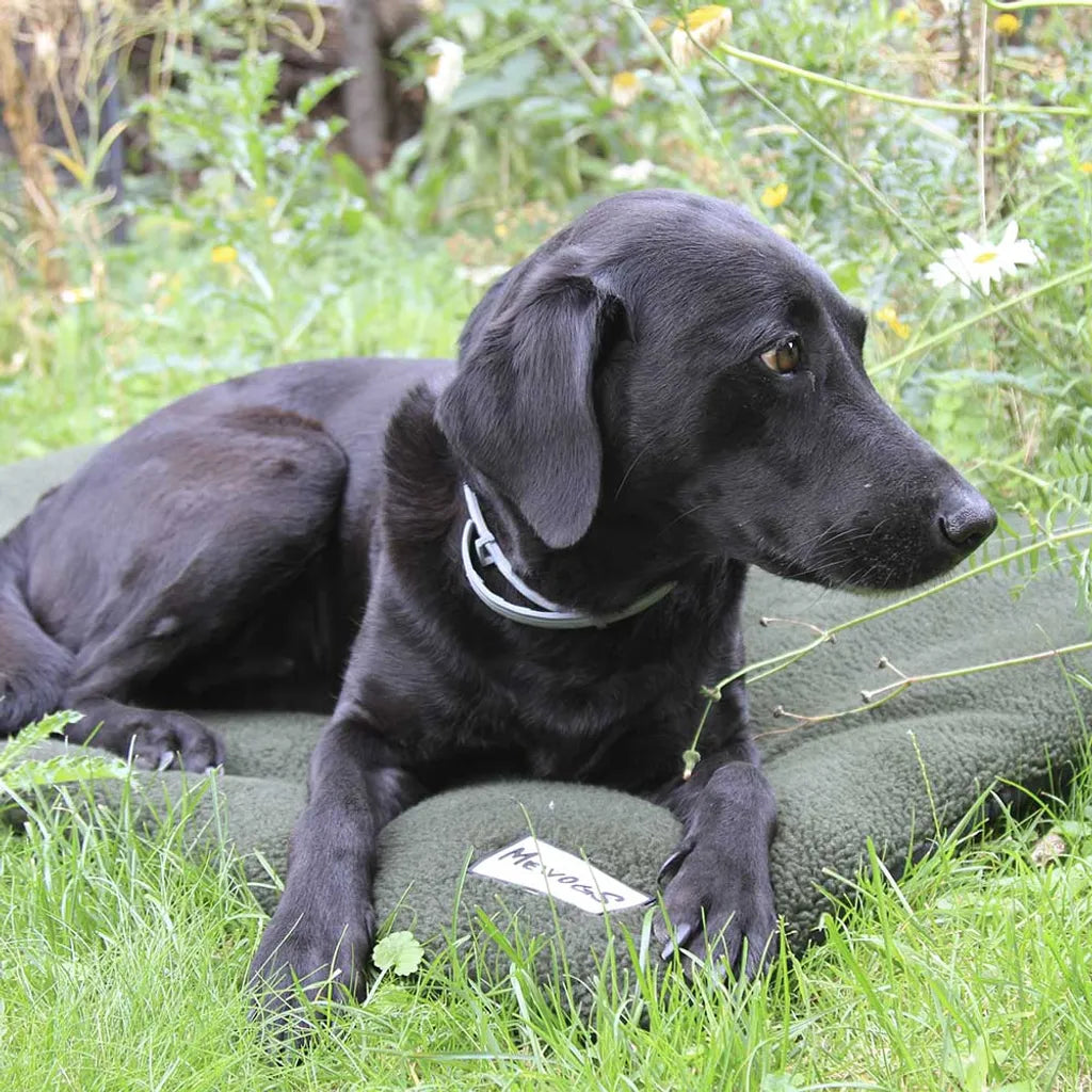  MewogS Hundedecke PRO-THERMO Faserpelz 70x100 Oliv