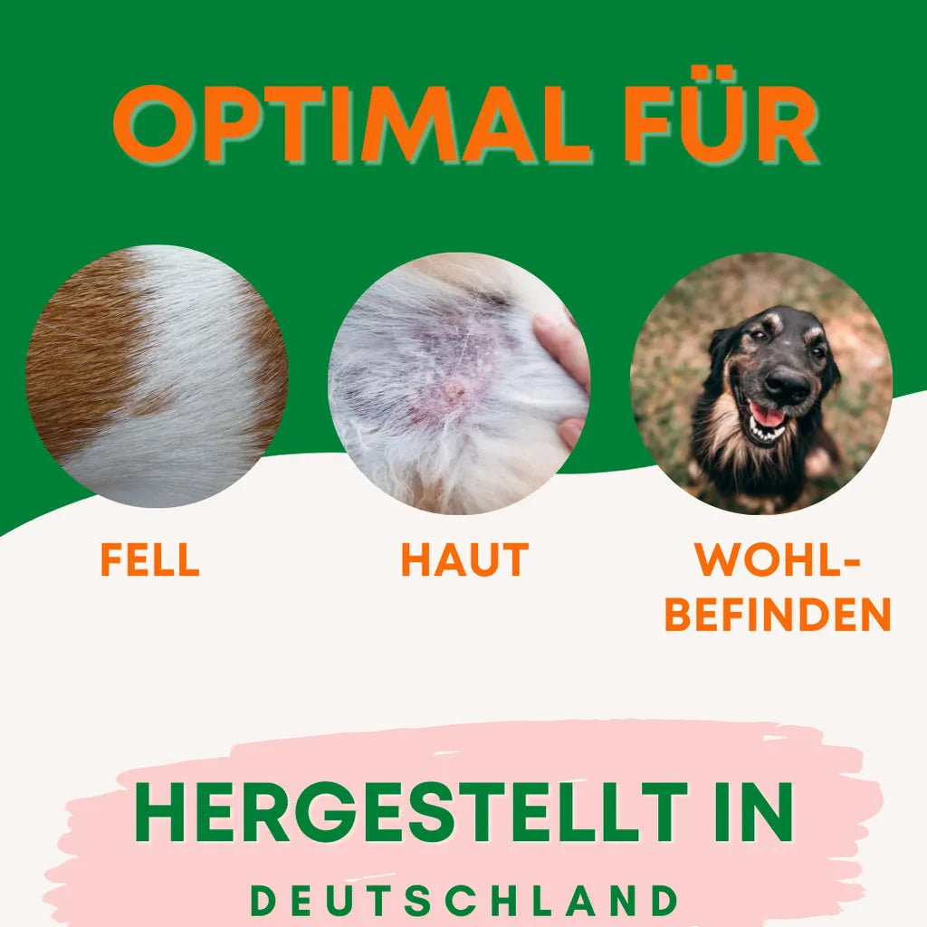  Reine Bierhefe Hund 400g I Pulver Für Hunde, Katzen & Pferde I Naturprodukt Für Haut Und Schönes Fell I Reich An B, E & H-Vitaminen