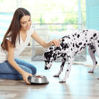  Relaxdays Faltbarer Hundekäfig Für Zuhause