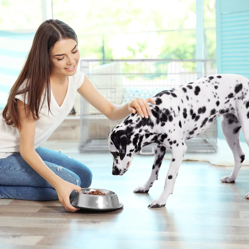 Relaxdays Faltbarer Hundekäfig Für Zuhause