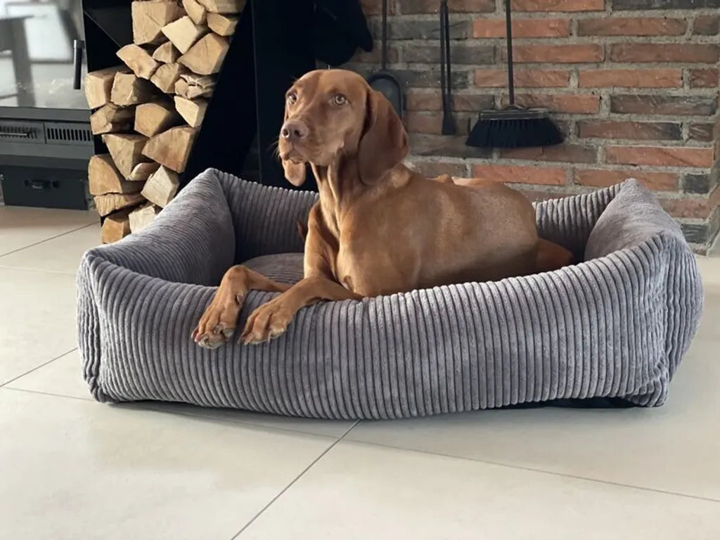  Petlando Hundebett Gent M Dunkelgrau