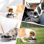  750ml Hunde Wassernapf Für Reisen, Abnehmbarer Auslaufsicherer, Spritzwassergeschützter Napf Für Hunde Und Katzen Unterwegs, Grau