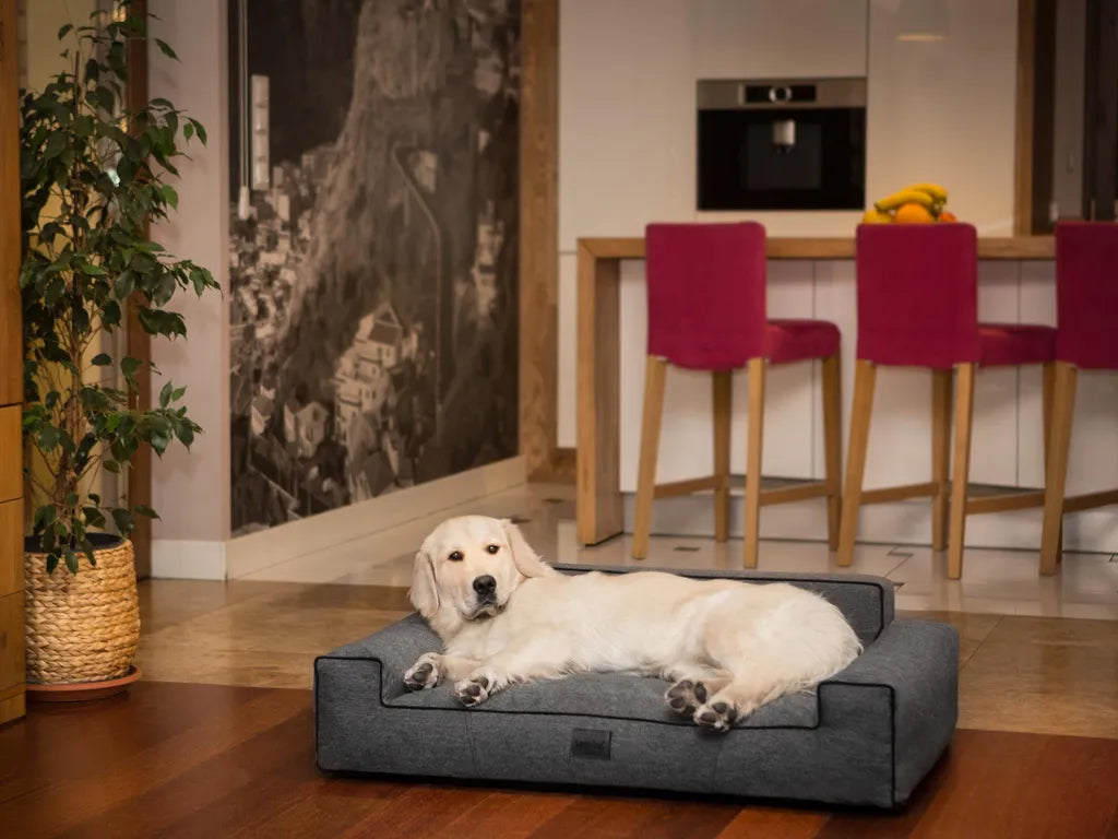  Hundebett GLAMOUR Bett Sofa Schlafplatz Ökoleinen Gewebe Kissen Korb SCHWARZ XXL 116x78 Cm