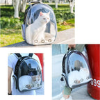  RUCKSACKTRANSPORTER FÜR CAT SPACE BACKPACK | Haustierträger Transparenter Rucksack Tragbare Hunde Und Katzen Outdoor-Tragetasche Atmungsaktives Kapsel-Design 180-Grad-Besichtigung Für Haustiere Reisen, Gehen