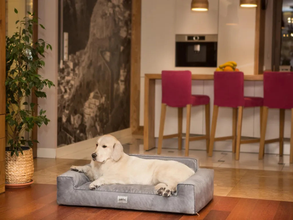  Orthopädisches Hundebett GLAMOUR Bett Sofa KissenGr L GRAU Matratze Kissen Hobbydog