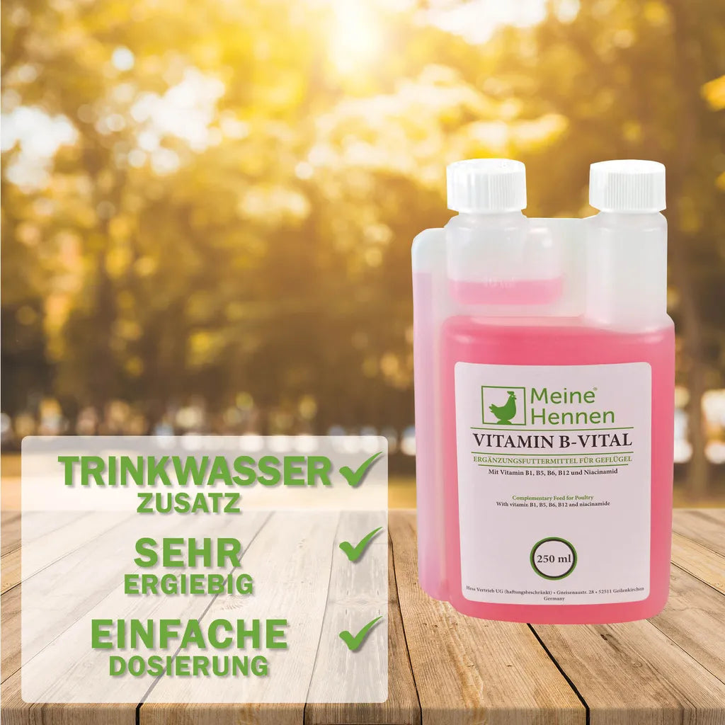  Meine Hennen Vitamin B- Vital 250 Ml, Vitamin B-Komplex Ergänzungsfuttermittel Für Hühner, Tauben Und Wachteln. Für Ihr Geflügel Zur Unterstützung Eines Normalen Nervensystems Und Stoffwechsels.