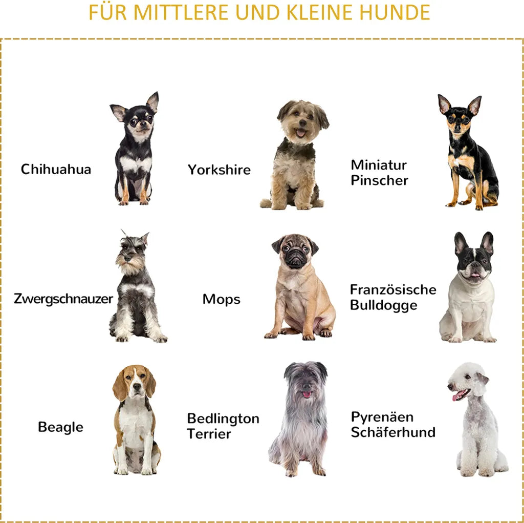  Pawhut Hundehütte Tannenholz Faltbarer Hundekäfig Hundehaus Mit Fenster Transportbox Transportkäfig Haustierkäfig Grau 84,5 X 51,4 X 61 Cm