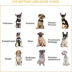  Pawhut Hundehütte Tannenholz Faltbarer Hundekäfig Hundehaus Mit Fenster Transportbox Transportkäfig Haustierkäfig Grau 84,5 X 51,4 X 61 Cm