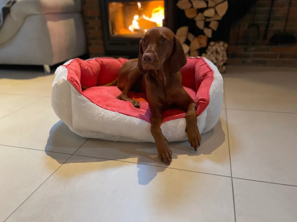  ThermoSwitch Hundebett Andros Koralle/creme L
