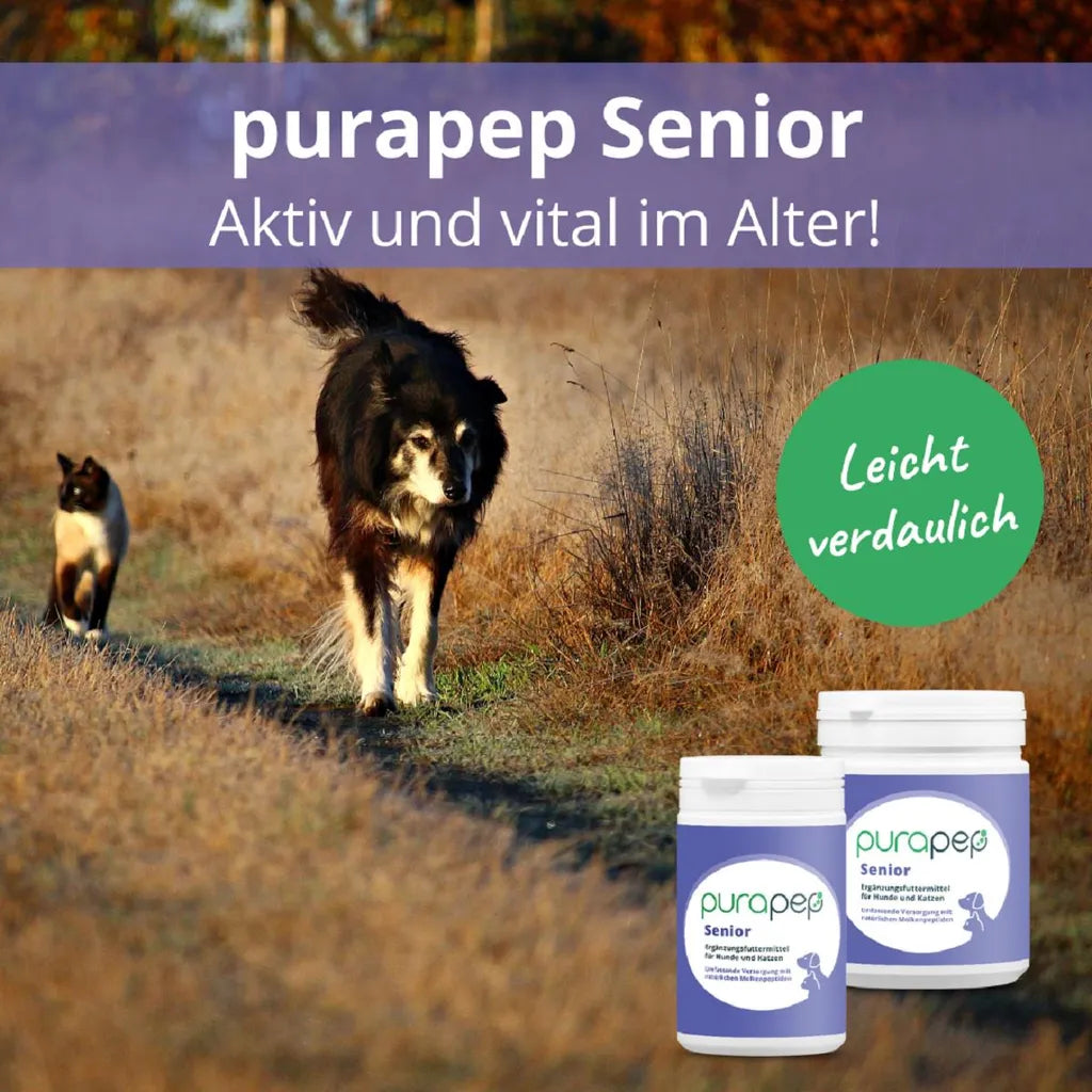  Purapep Senior Ergänzungsfuttermittel Für ältere Hunde Und Katzen 280g