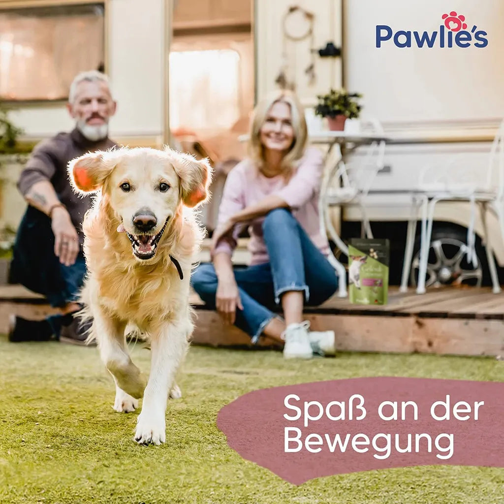  Pawlie's Gelenktabletten Für Hunde (NEU) | Grünlippmuschel Hund, Glucosamin, MSM & Teufelskralle | Hunde Leckerlis Mit Omega 3, 100 Stück, Hohe Akzeptanz, In DE Hergestelltes Ergänzungsfutter