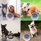  Wassernapf Für Hunde Unterwegs 750ml, Qianyou Auslaufsicher Spritzschutz Fressnapf Hundenäpfe Katzenapf Haustier Rutschfest Auto Reise Trinknapf Plastik Abnehmbar Tragbar Wasserschüssel