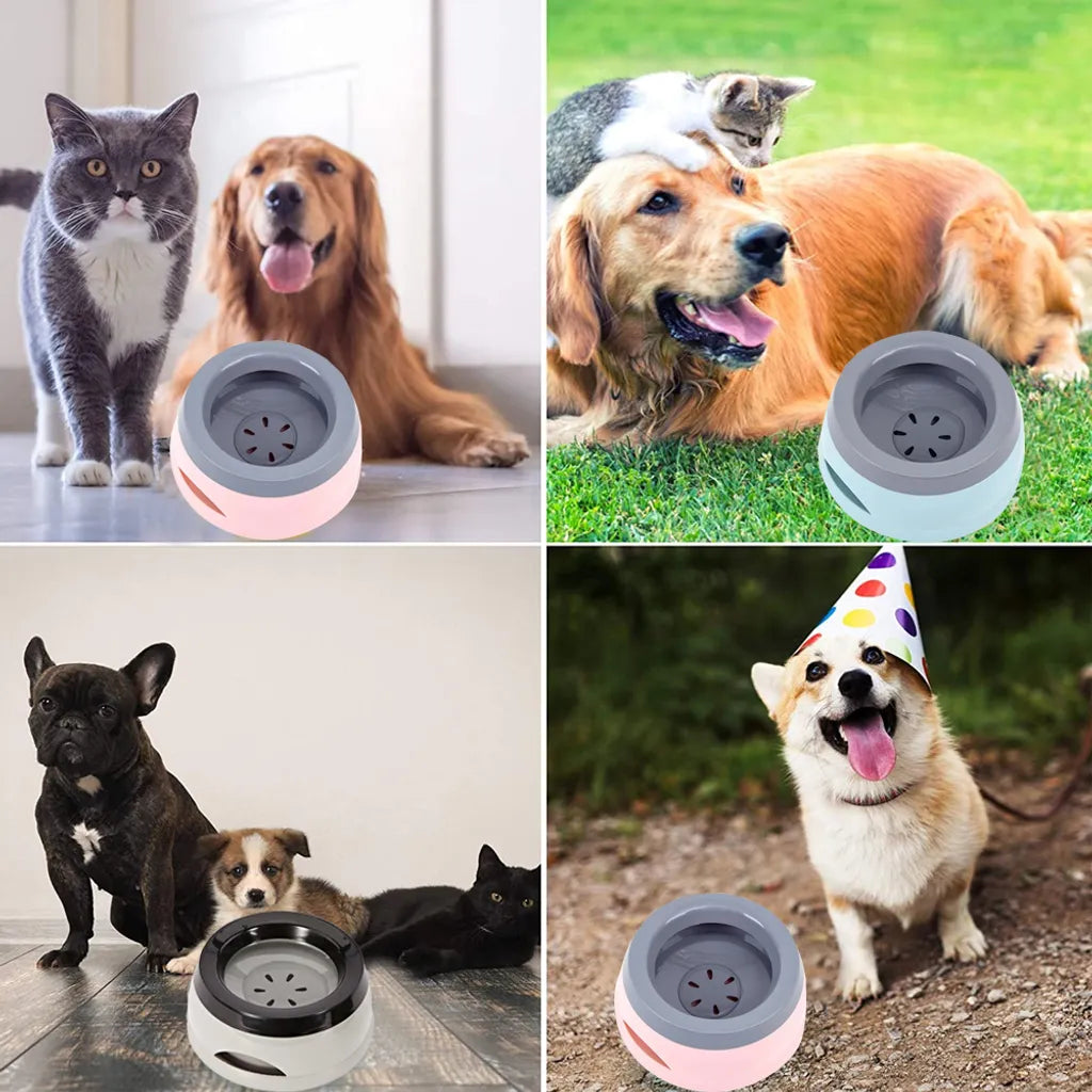  Wassernapf Für Hunde Unterwegs 750ml, Qianyou Auslaufsicher Spritzschutz Fressnapf Hundenäpfe Katzenapf Haustier Rutschfest Auto Reise Trinknapf Plastik Abnehmbar Tragbar Wasserschüssel
