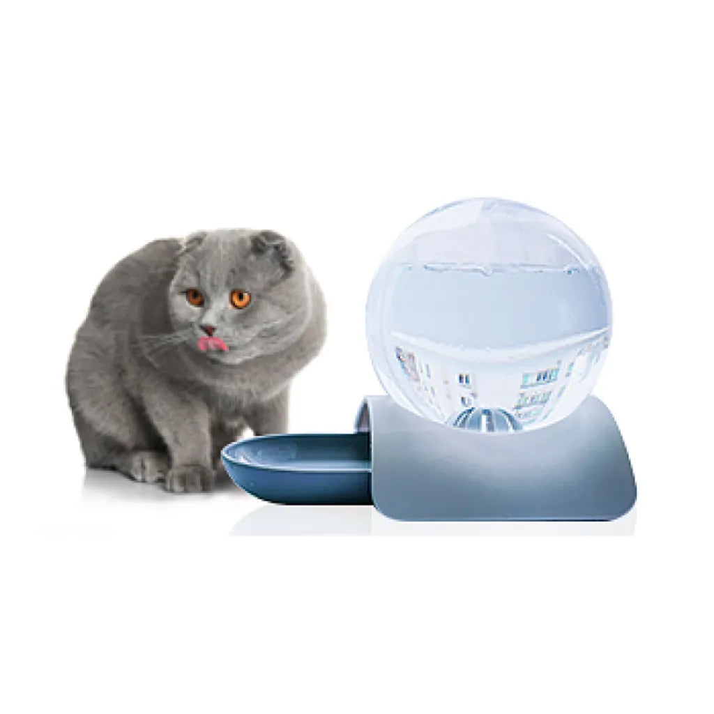  Katzen Trinkbrunnen, Katzenbrunnen Organischer Filter Leise Rutschfest Hunde Und Katzen Automatisch Leise Haustier Wasserbrunnen Wasserspender Mit Aktivkohlefilter 2.8L