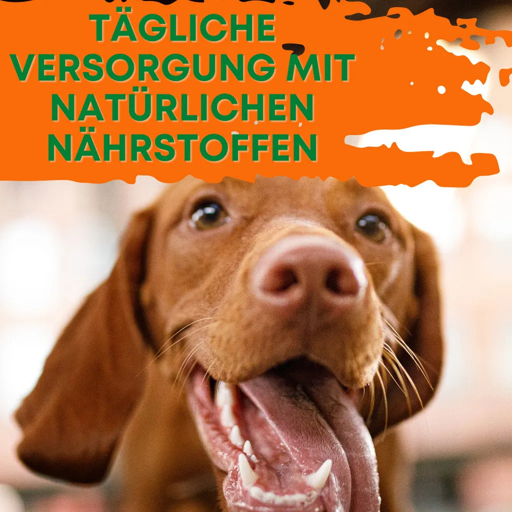  Reine Bierhefe Hund 400g I Pulver Für Hunde, Katzen & Pferde I Naturprodukt Für Haut Und Schönes Fell I Reich An B, E & H-Vitaminen