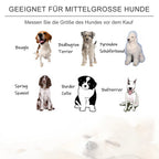  PawHut Hundesofa Haustiersofa Oval Morderne Gebürstetes Stoff Für Kleine Hunde Und Katzen 81 X 61 X 24 Cm Grau
