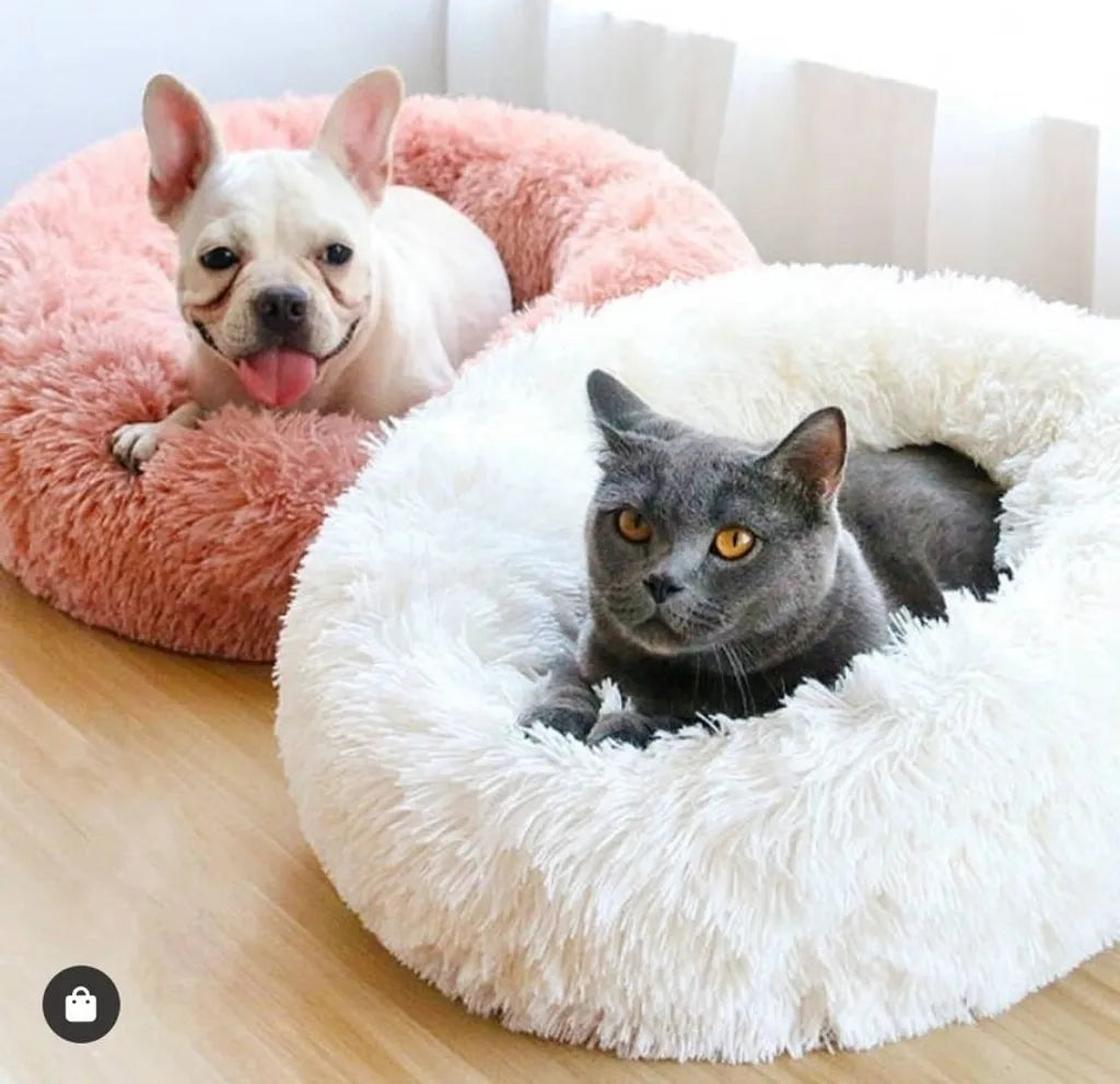  Hundebett Kleine Hunde Oder Katzenbett Flauschig ∅ 60 Cm - Hundekissen Runder Hundekorb Katzenkorb Katzenkissen Dunkelgrau