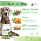  Gelenktabletten Für Hunde Mit Grünlippmuschel, Teufelskralle, MSM, Chondroitin, Glucosamin