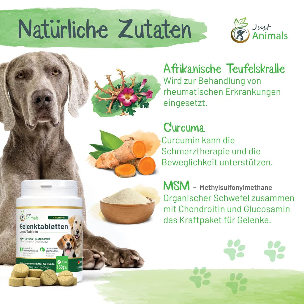  Gelenktabletten Für Hunde Mit Grünlippmuschel, Teufelskralle, MSM, Chondroitin, Glucosamin