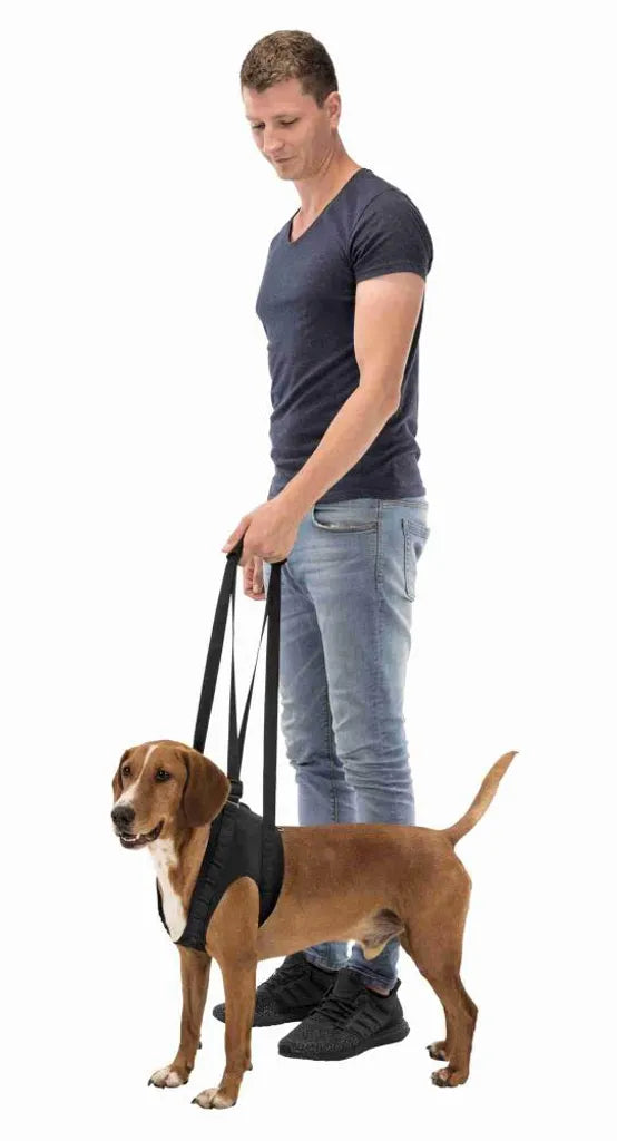  Trixie Hunde Gehhilfe In Schwarz