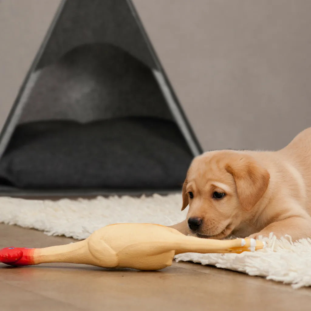  Relaxdays Hundezelt Aus Filz