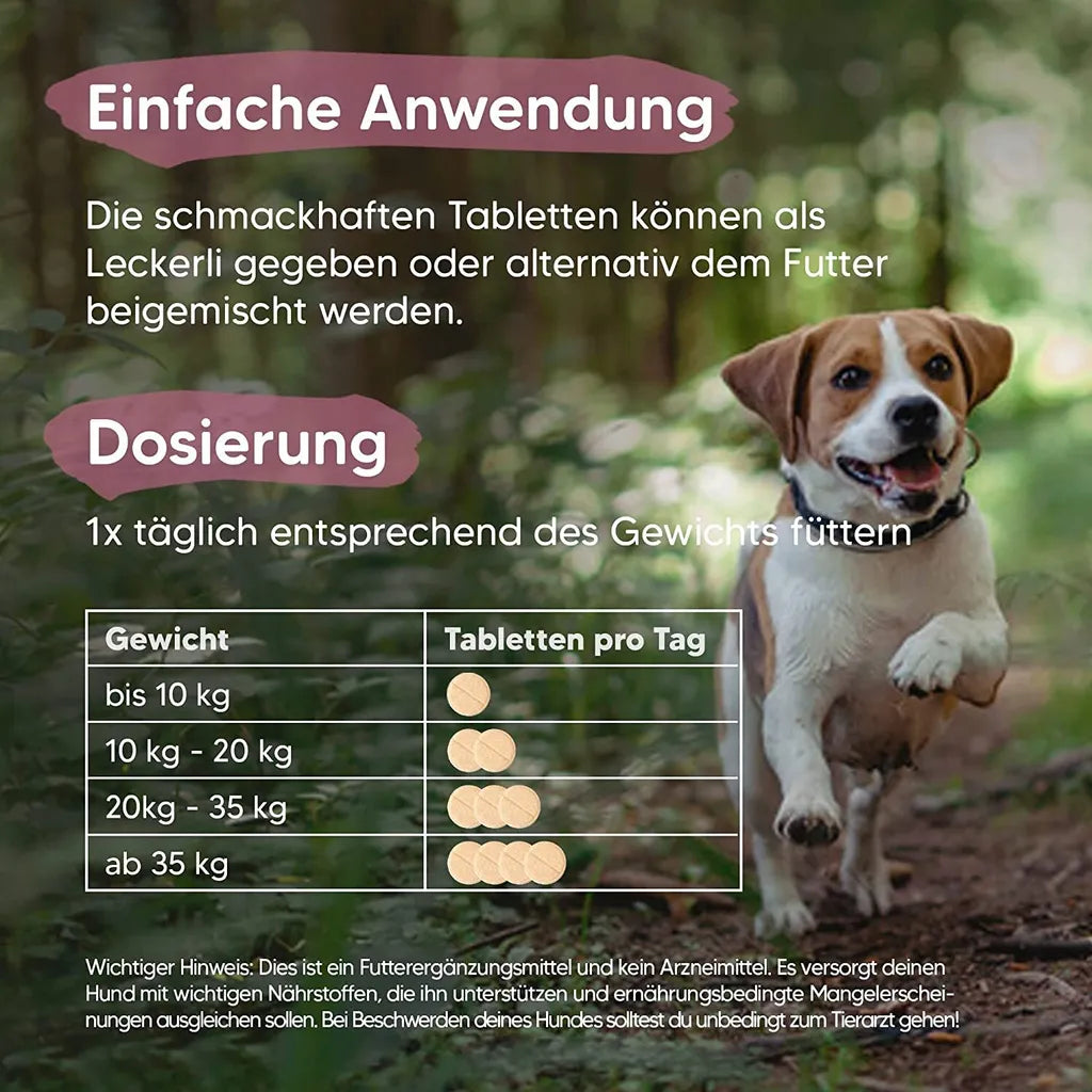  Pawlie's Gelenktabletten Für Hunde (NEU) | Grünlippmuschel Hund, Glucosamin, MSM & Teufelskralle | Hunde Leckerlis Mit Omega 3, 100 Stück, Hohe Akzeptanz, In DE Hergestelltes Ergänzungsfutter