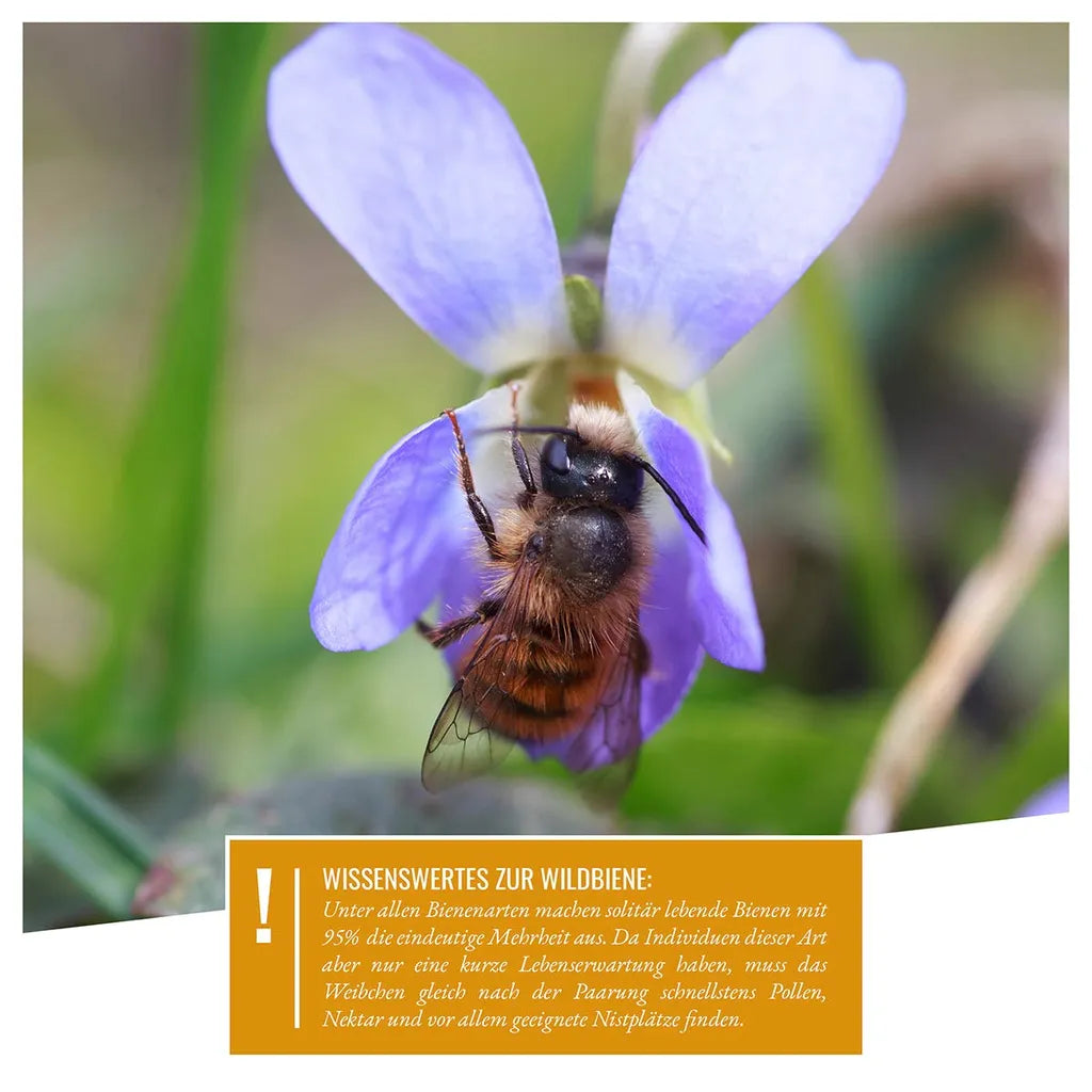  Wildtier Herz I 200 Insektenhotel Nisthülsen Ø 8mm, Längere Lebensdauer Als Pappröhrchen Aus Papier, Niströhren Füllmaterial Nisthilfe Bienen, Wildbienen