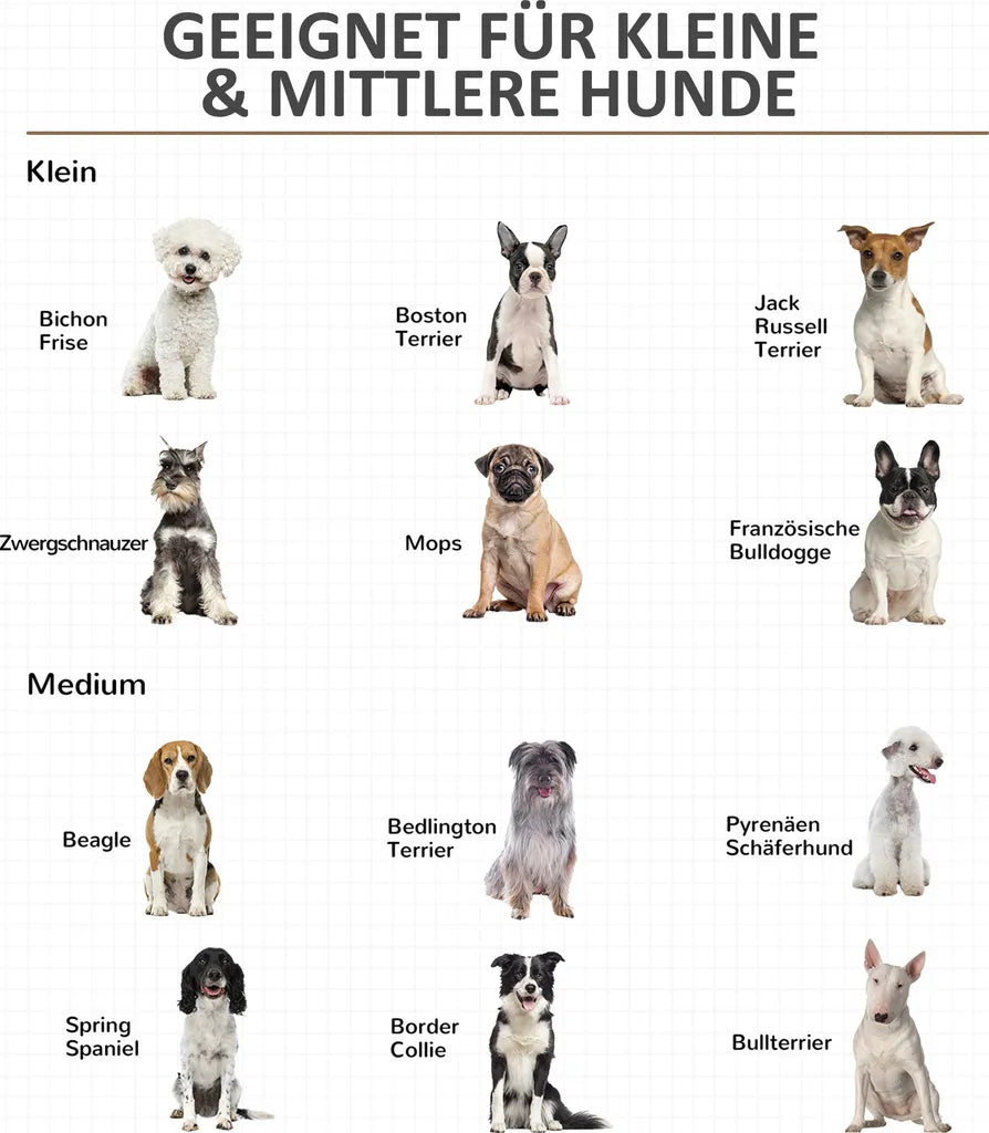  PawHut Hundekäfig Aus Holz Mit Kissen Tischoberfläche Erhöhtes Design Hundebox Für Mittelgroße Hunde Innen Zuhause Tierkäfig Haustier Weiß+Grau 86 X 60 X 70 Cm