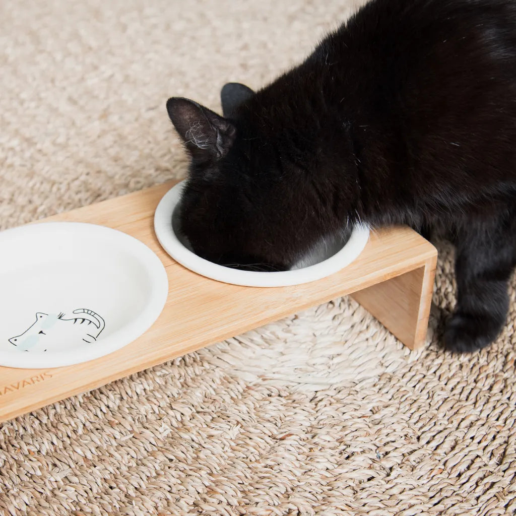  Navaris Futternapf Katze Futterstation Set - Keramiknapf Für Katzen Hunde - Keramik Fressnapf Set Futterbar Katzennapf - Spülmaschinenfest