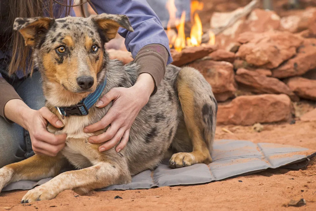  Ruffwear Highlands Pad Bett Cloudbust Gray, Größe:M