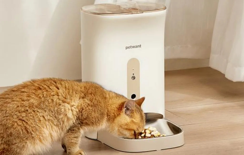  PetWant F11-C Automatischer Futterspender