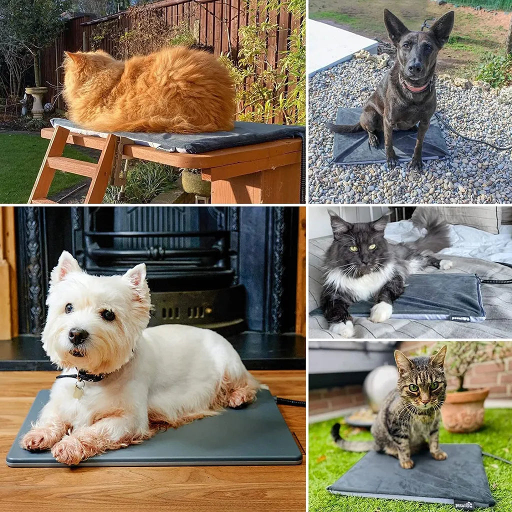  Pecute Haustier Heizkissen, Hundebett Kleine Hunde Katze Wasserdicht, Harte Wärmematte Hundekissen Waschbar Mit Konstante Temperatur, Innen- Und Außen, L 40*50cm