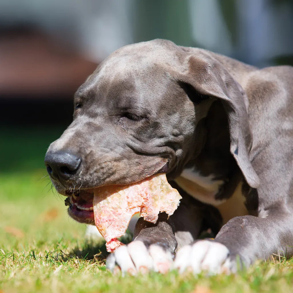  1kg Schecker - Schweineohren Premium - Deutsche Ware - Hundeohren