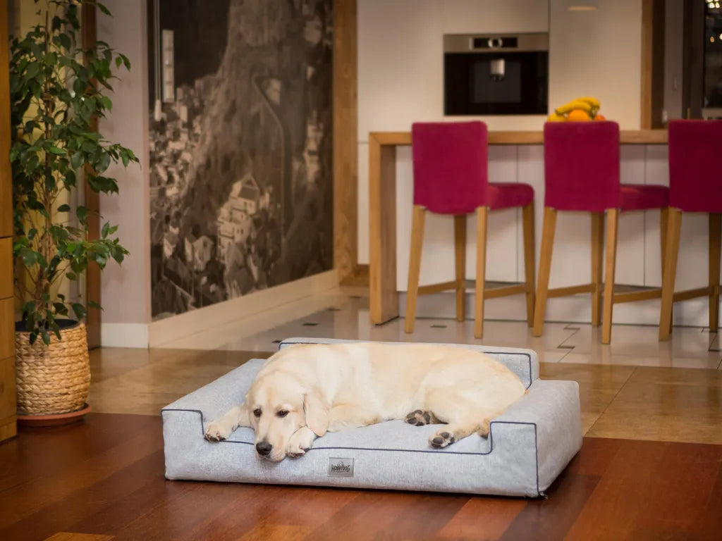  Orthopädisches Hundebett GLAMOUR Bett Sofa Ökoleinen Kissen XL HELLGRAU INARII HobbyDog