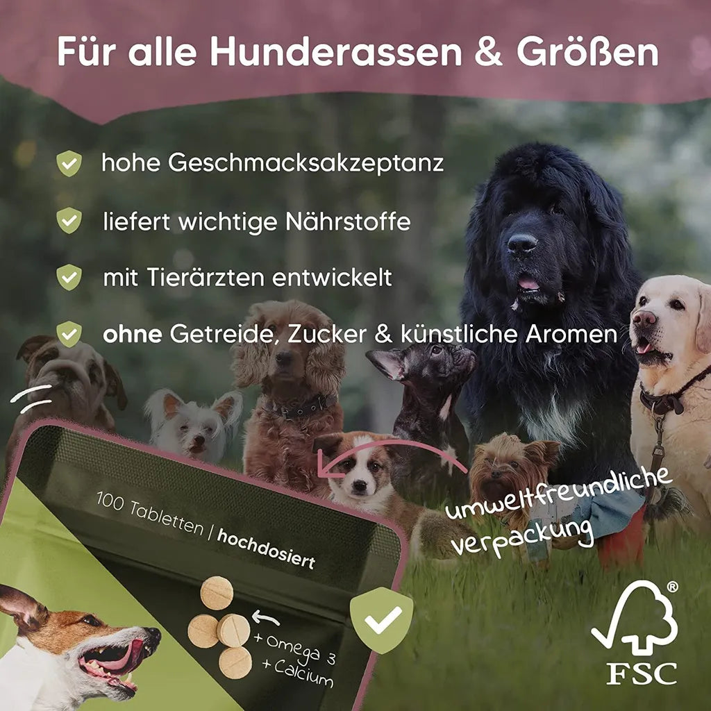  Pawlie's Gelenktabletten Für Hunde (NEU) | Grünlippmuschel Hund, Glucosamin, MSM & Teufelskralle | Hunde Leckerlis Mit Omega 3, 100 Stück, Hohe Akzeptanz, In DE Hergestelltes Ergänzungsfutter