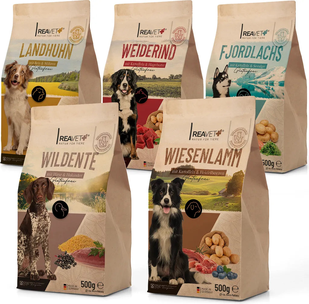  REAVET Natur Hundefutter Trocken 5er Set (5x500g) – 100% Natürlich Trockenfutter Hund, Getreidefrei Für Allergiker, Hunde Trockenfutter, Natur Ohne Chemie Und Künstliche Vitamine