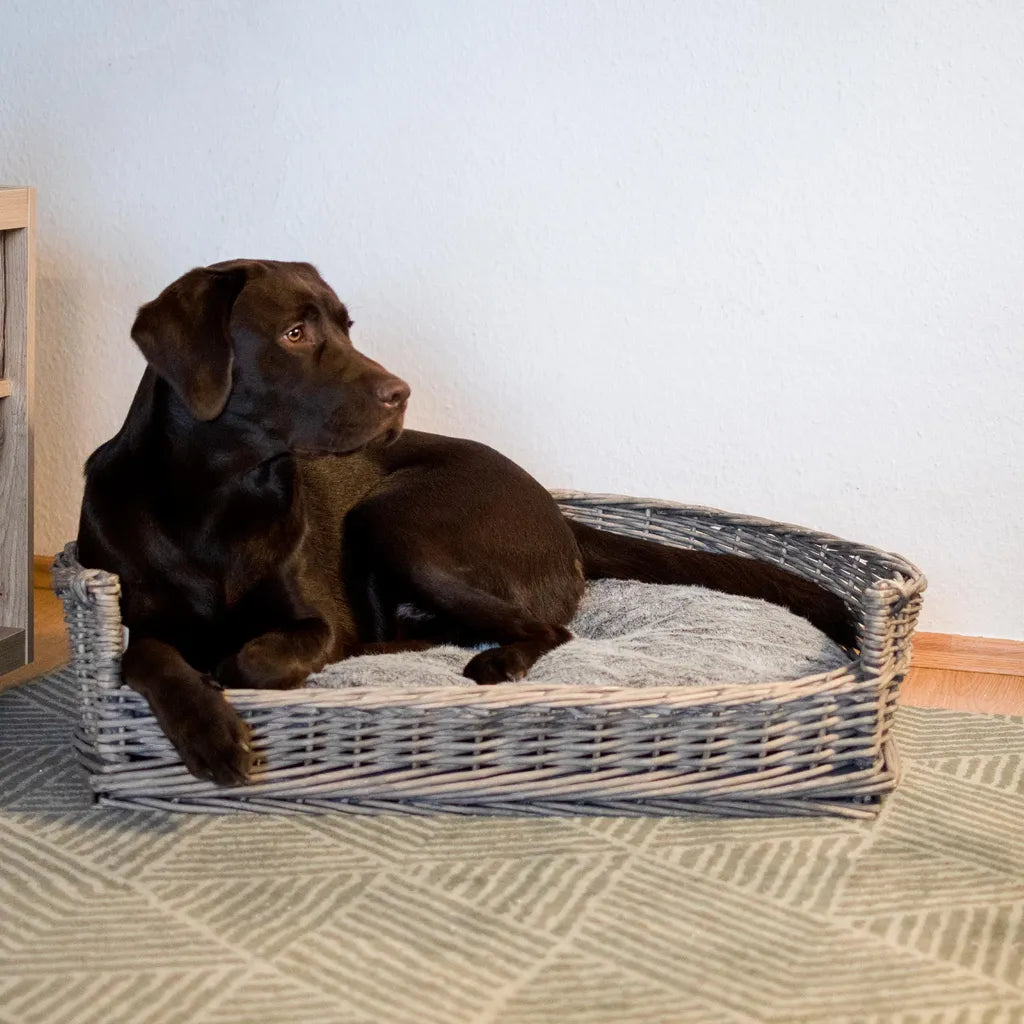  Hundebetten Hundebett Hundekorb Schlafplatz Hund Grau 84 Cm Kissen Bett Korb