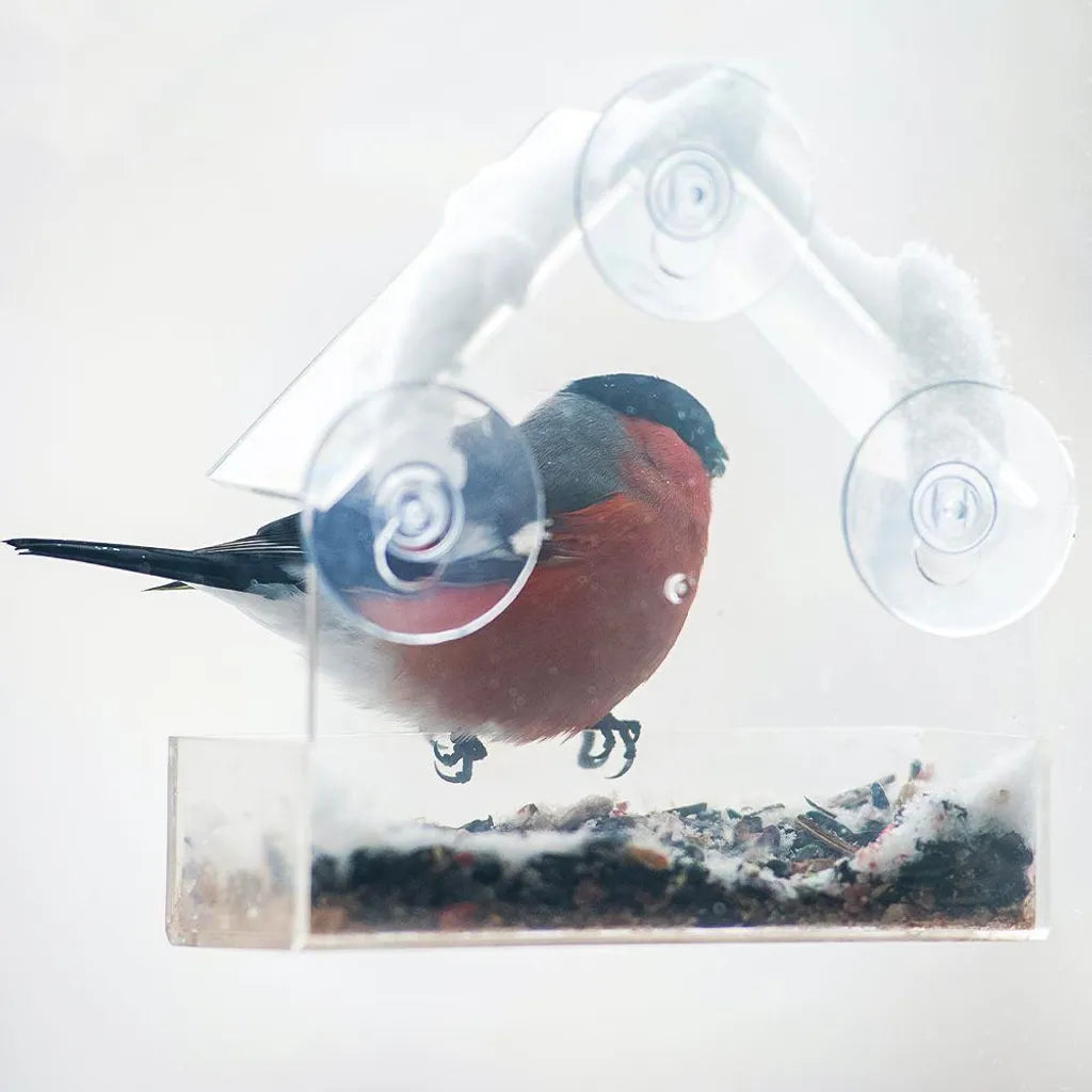 ProGarden Vogelhäuschen Futterhäuschen Futterstation Transparent Mit Saugnäpfen Für Fensterscheiben 15x15x6 Cm