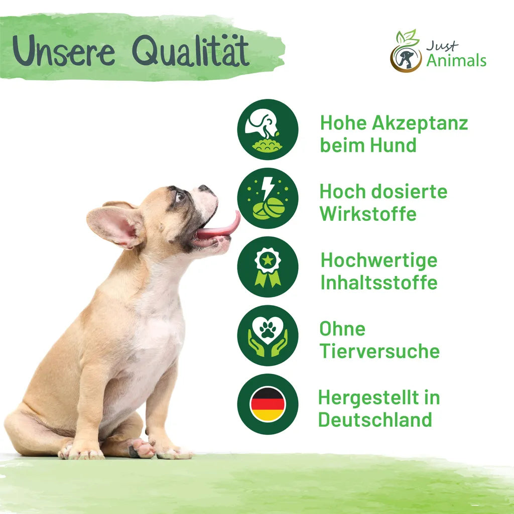  Gelenktabletten Für Hunde Mit Grünlippmuschel, Teufelskralle, MSM, Chondroitin, Glucosamin