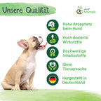  Gelenktabletten Für Hunde Mit Grünlippmuschel, Teufelskralle, MSM, Chondroitin, Glucosamin