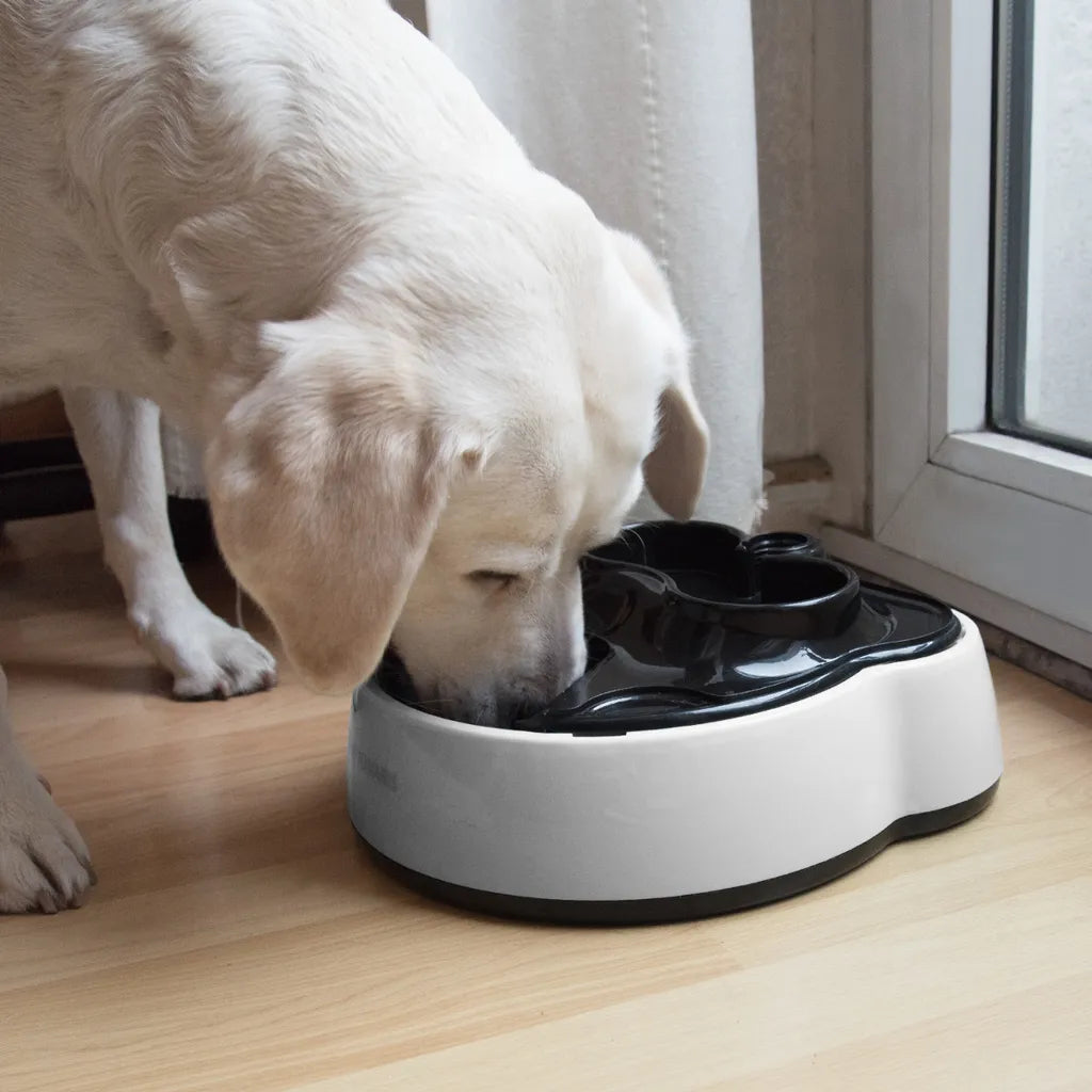  Navaris Automatischer Futterautomat Mit Trinkstation - Futterspender Automatisch Mit Wasserspender Und 4 Futter Fächern - Für Hunde Und Katzen