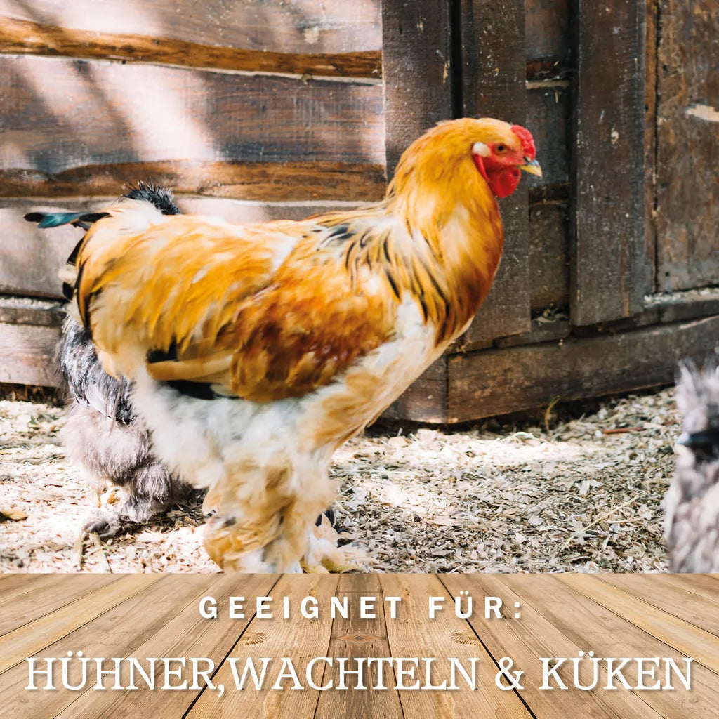  Meine Hennen Vitamin B- Vital 250 Ml, Vitamin B-Komplex Ergänzungsfuttermittel Für Hühner, Tauben Und Wachteln. Für Ihr Geflügel Zur Unterstützung Eines Normalen Nervensystems Und Stoffwechsels.