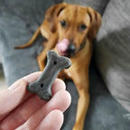  3x500g Schecker Digestiva - Hundekekse Mit Futterkohle - Bei Leichten Verdauungsproblemen